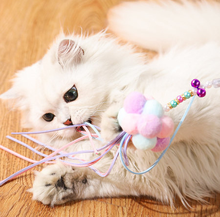 Mänguõng – erinevad mudelid