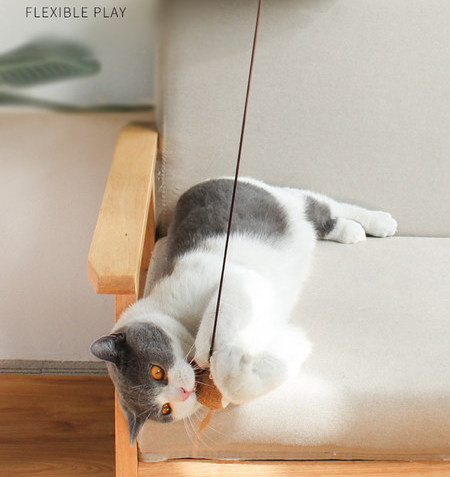 Lõbus kasside mänguasi õngeritva sulgedega