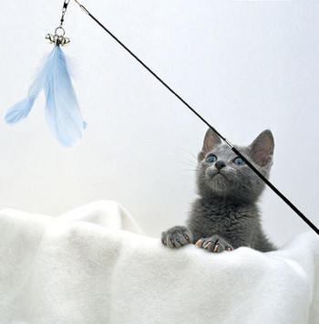 Παιχνίδι καλάμι ψαρέματος για γάτες με μενταγιόν - φτερό με κουδούνι