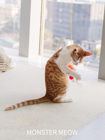Παιχνίδι γάτας με μενταγιόν - δύο μοντέλα