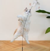 Παιχνίδι γάτας με φτερά - διαφορετικά χρώματα