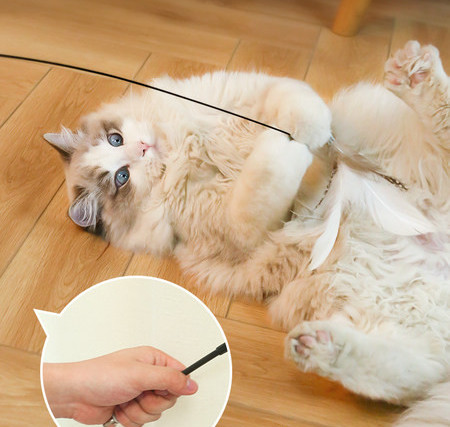 Παιχνίδι γάτας με φτερά - διαφορετικά χρώματα