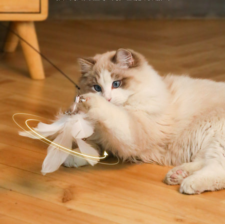 Παιχνίδι γάτας με φτερά - διαφορετικά χρώματα