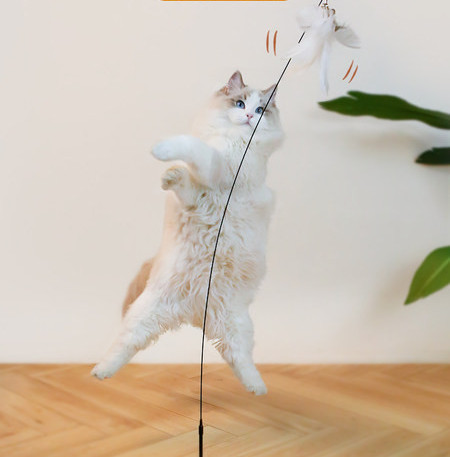 Παιχνίδι γάτας με φτερά - διαφορετικά χρώματα