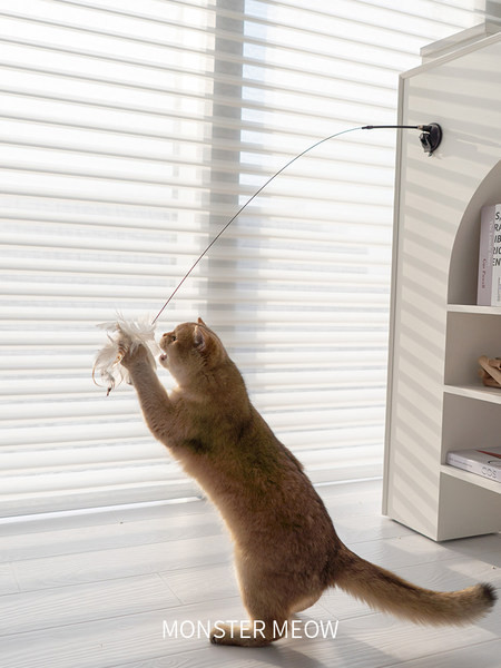 Mačka igračka štap za pecanje s perjem