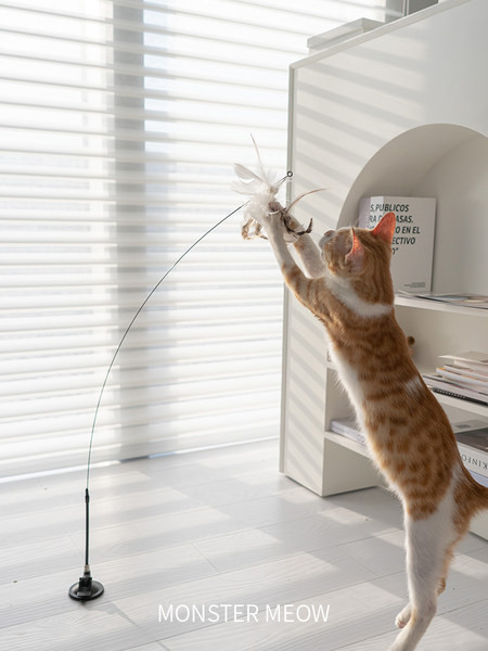 Mačka igračka štap za pecanje s perjem