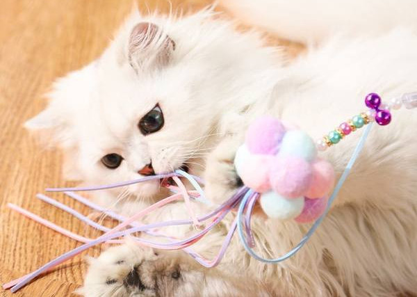 Igračka za mačke - štap s perjem i pomponima