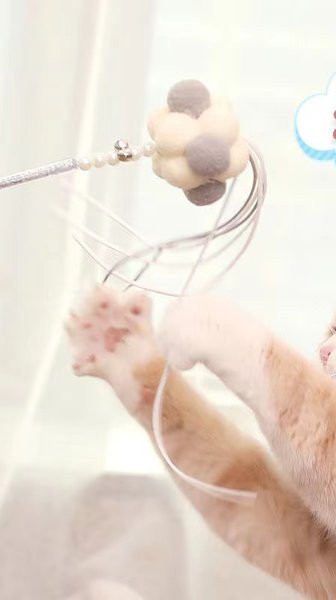 Διασκεδαστικό παιχνίδι γάτας με φτερά - ένα σετ τριών ή περισσότερων τεμαχίων