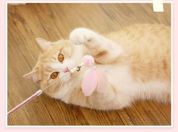 Διασκεδαστικό παιχνίδι γάτας με φτερά - ένα σετ τριών ή περισσότερων τεμαχίων