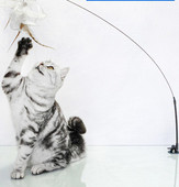 Jucărie pentru pisici cu pandantiv - mai multe modele