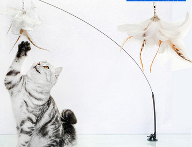 Jucărie pentru pisici cu pandantiv - mai multe modele