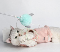 Mačka igračka štap za pecanje - nekoliko modela