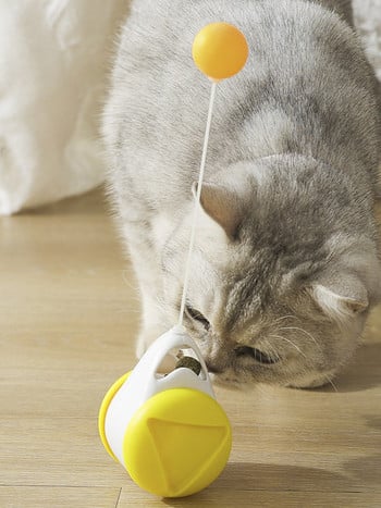 Παιχνίδι γάτας με μπάλα σε διάφορα χρώματα