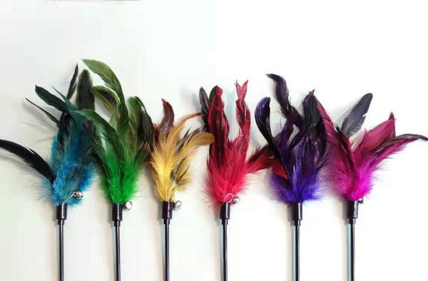 Jucărie pentru pisici cu pene și clopot