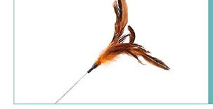 Jucărie distractivă pentru pisici cu pene