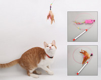 Παιχνίδι γάτας με μενταγιόν