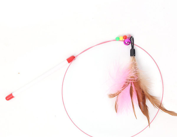 Παιχνίδι γάτας με μενταγιόν