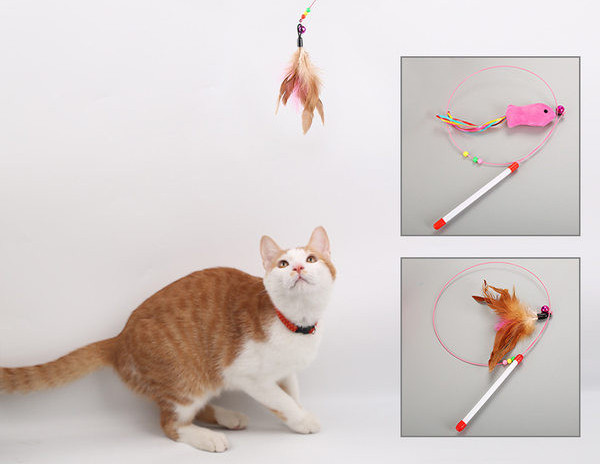 Παιχνίδι γάτας με μενταγιόν