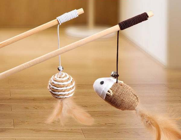 Set de undițe - pentru o pisică