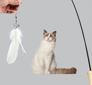 Cat toy fishing rod with feather