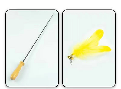 Παιχνίδι γάτας με φτερό