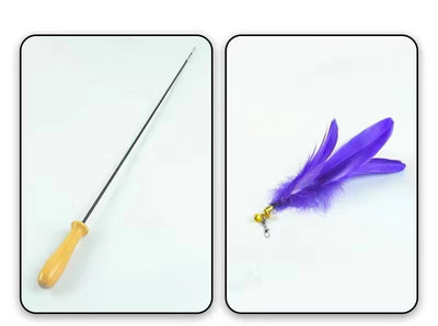 Παιχνίδι γάτας με φτερό