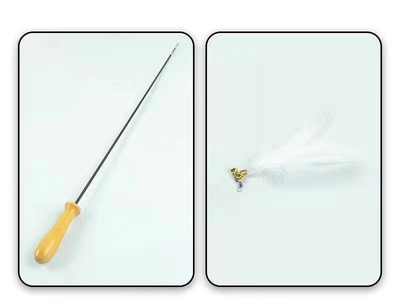 Παιχνίδι γάτας με φτερό