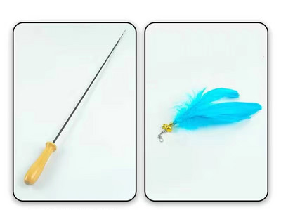 Παιχνίδι γάτας με φτερό