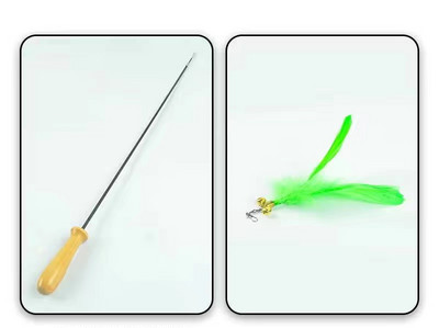 Παιχνίδι γάτας με φτερό