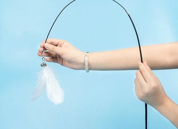 Παιχνίδι γάτας με φτερό