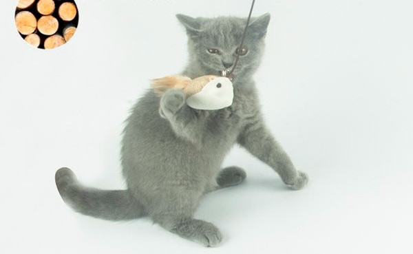 Undiță de pescuit jucărie din lemn pentru pisici