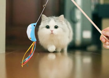 Παιχνίδι γάτας σε καλάμι ψαρέματος τύπου σχοινιού