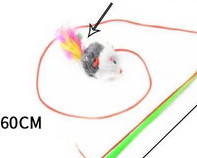 Pärlitega kassimängu õngeritv