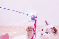 Pärlitega kassimängu õngeritv