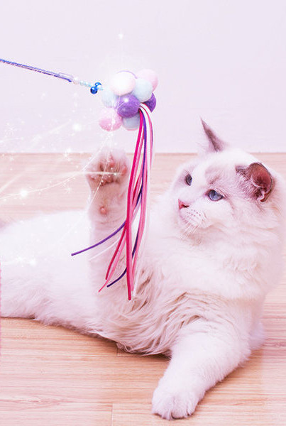 Pärlitega kassimängu õngeritv