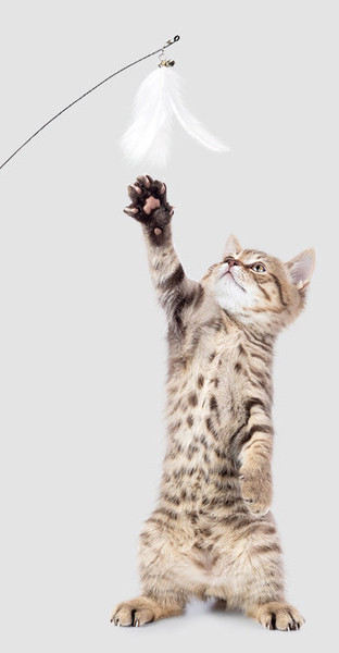 Băț de jucărie pentru pisici cu pene pandantiv