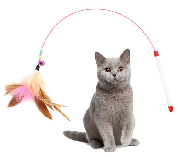 Παιχνίδι για γάτες με μενταγιόν - τρία μοντέλα