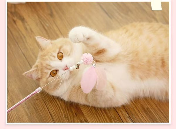 Kassimänguasja tüüpi õngeritva komplekt