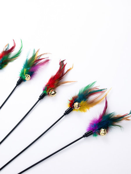 Kassi mänguasja suled kellukesega