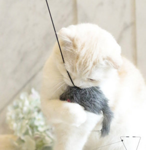 jucărie distractivă pentru pisici tip undiță - mai multe modele