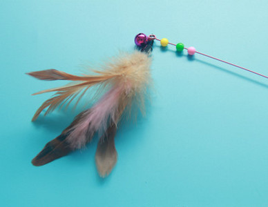 Kassi mänguõng koos ripatsiga