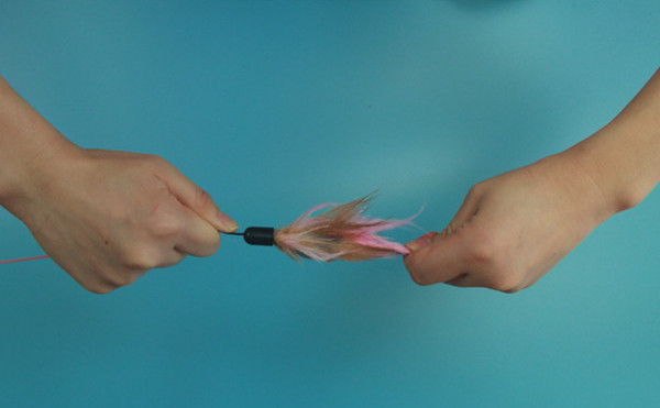 Kassi mänguõng koos ripatsiga