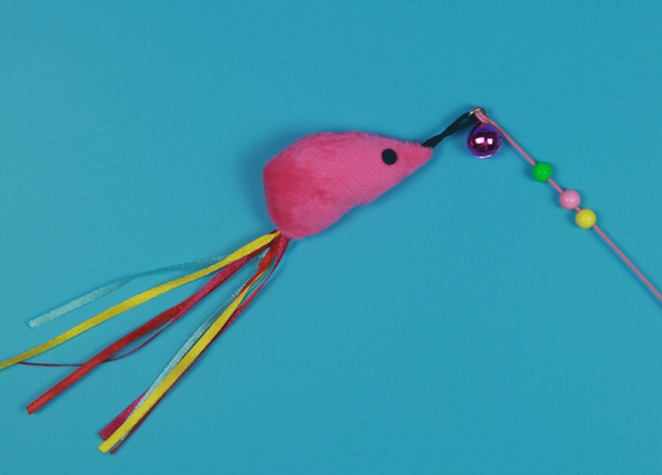 Kassi mänguõng koos ripatsiga