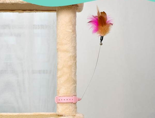 Žaislas katėms su pavadėliu ir plunksna