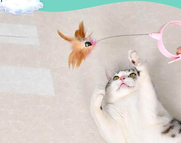Παιχνίδι για γάτες με λουρί και φτερό