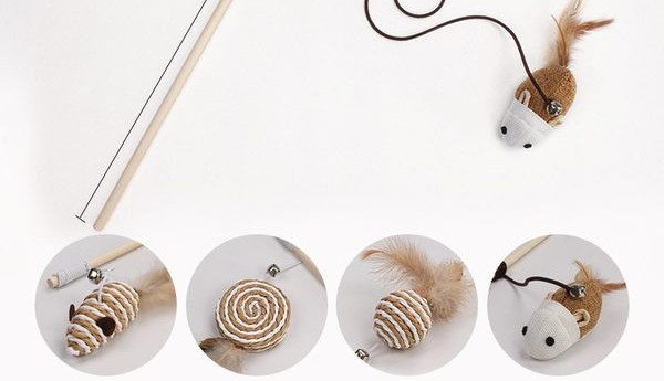 Kassi mänguasi pulgal - erinevad mudelid