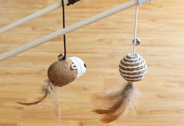 Kassi mänguasi pulgal - erinevad mudelid