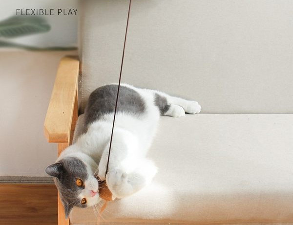 Kassi mänguasi pulgal - erinevad mudelid