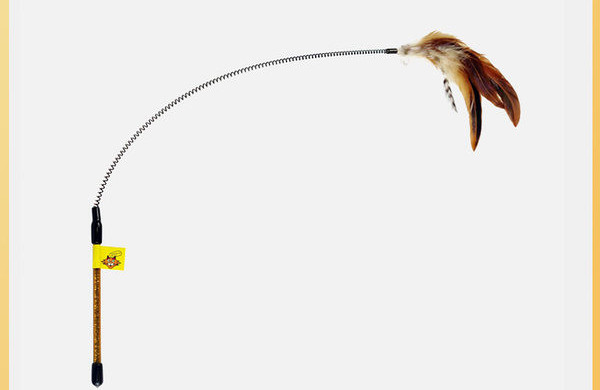 Tijă de pisică de primăvară cu pene