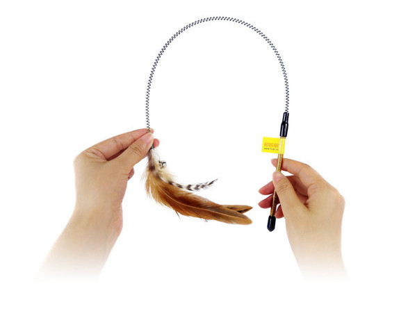 Tijă de pisică de primăvară cu pene